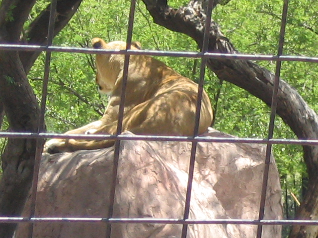 618x457 pixels (211K)